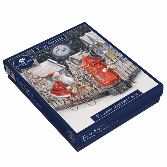 XH0410 CARDS LUX BOXED WHIMSICAL SANT