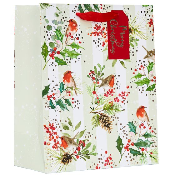 XG2310 GIFT BAG ROBINS LARGE