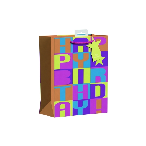 SJ15127 SJ15127 GIFT BAG NEON BLOCK TEXT MEDIUM