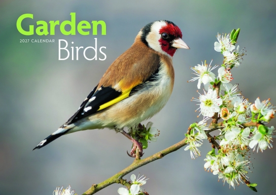 DJ1302 CALENDAR A4 GARDEN BIRDS
