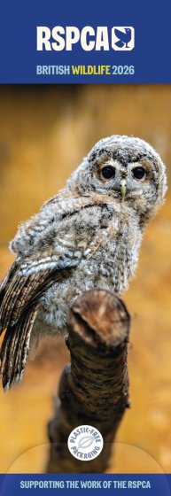 DH1402 CALENDAR SLIM BRITISH WILDLIFE