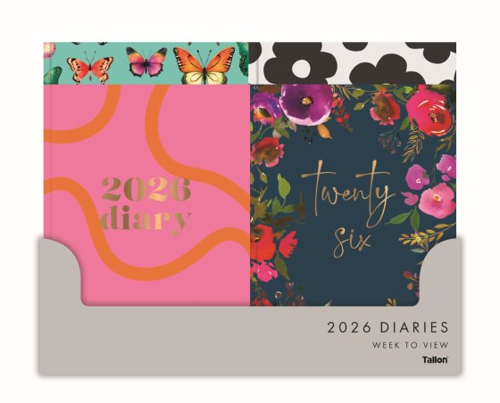 DH0401 DIARY A5 SILVER FOIL WTV ASST