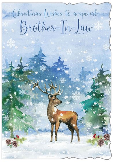 XE00158 CARD C50 BROTHER-IN-LAW TRAD