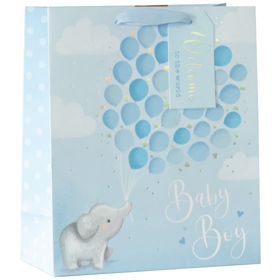 NEW FOR 2024 SG12913 GIFT BAG LITTLE BLUE MED