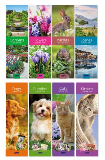 DH1201 CALENDAR SLIM SPIRAL  ASSORTED