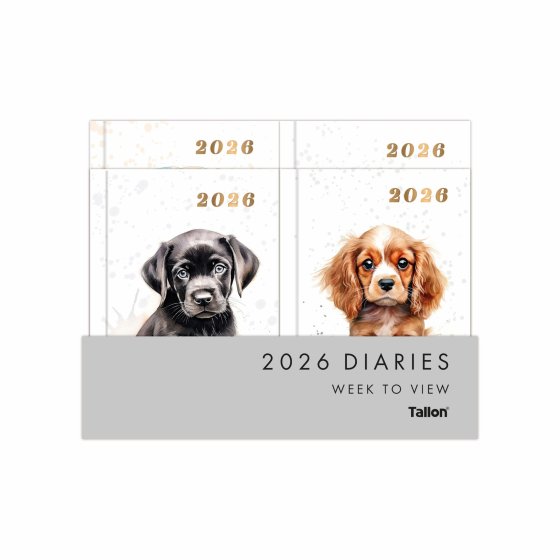 DH0604 DIARY POCKET WTV WATERCOLOUR D