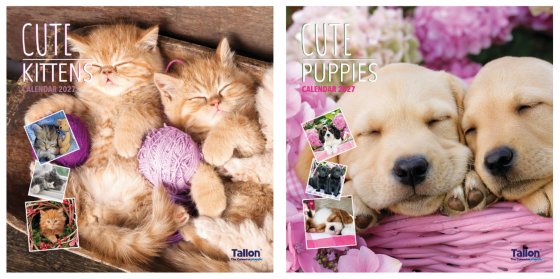 DJ1103 2027 CALENDAR SQUARE KITTENS PUPPIE