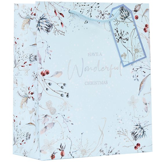 XG2105 GIFT BAG WONDERLAND MEDIUM