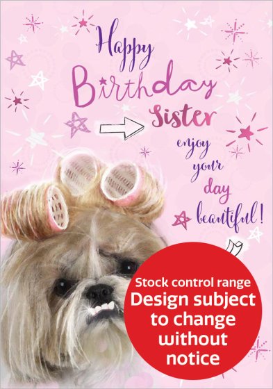 OTB17090B C75 STOCK CONTROL SISTER MODERN