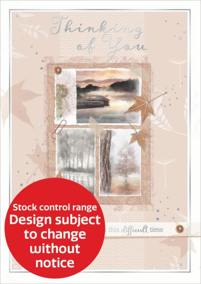 OTB17184B C50 STOCK CONTROL THINKING OF YOU TRAD