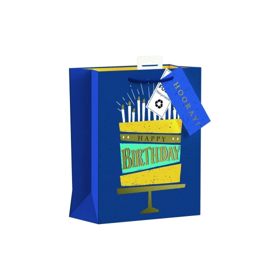 SJ15231 SJ15231 GIFT BAG BIRTHDAY CAKE MEDIUM