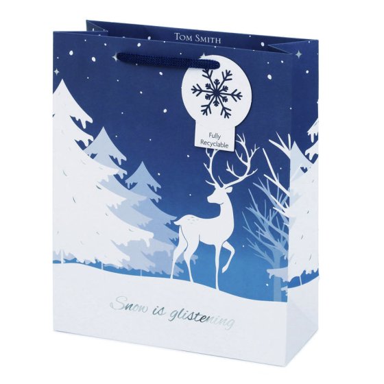 WIGIG GIFT BAG LUX WINTER WONDERLAND