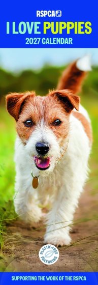 DJ1404 CALENDAR SLIM PUPPIES RSPCA