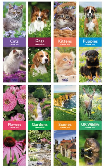 DJ1201 2027 CALENDAR SLIM SPIRAL  ASSORTED