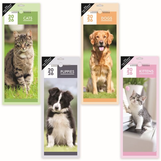DH1205 CALENDAR SLIM CATS N DOGS