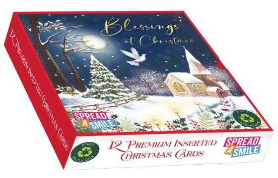 CARDS BOX 12 PRE WINTER BLESSINGS