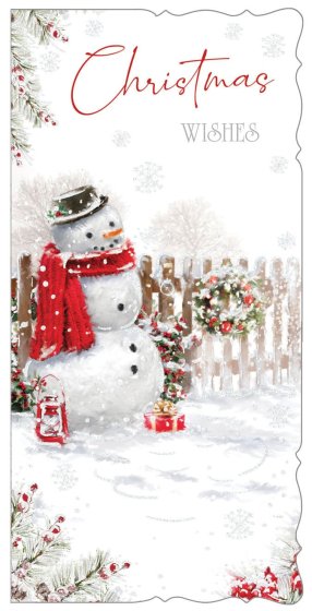 WIGIG CARDS BOX 12 SLIM PREM FROSTY