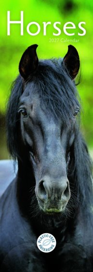 DJ1405 CALENDAR SLIM HORSES