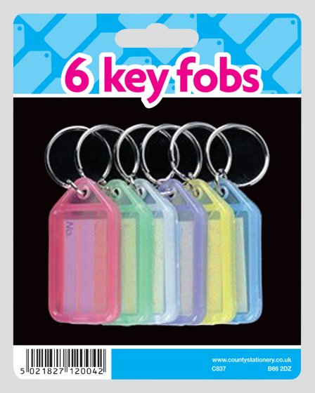 SH04709 6 KEYRINGS CARDED