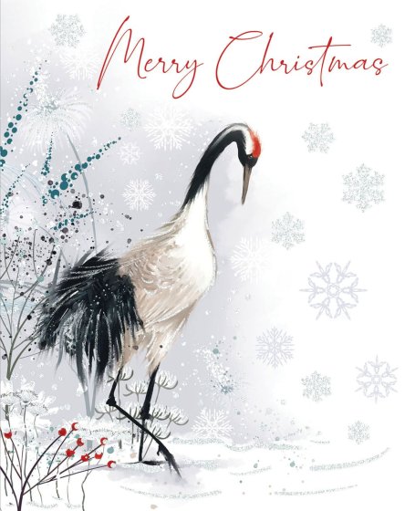 WIGIG CARDS BOX 24 LUX MAJESTIC (CAS