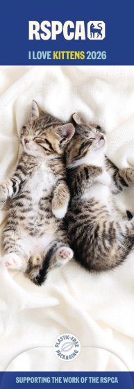 DH1403 CALENDAR SLIM KITTENS RSPCA
