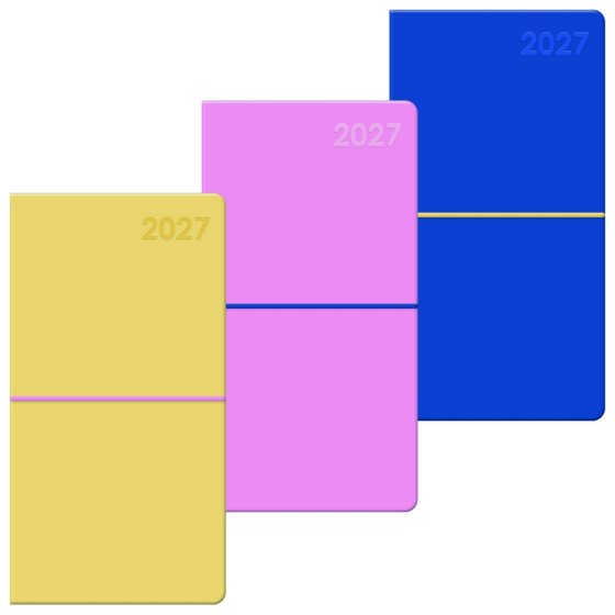 DJ0603 2027 DIARY SLIM WYV MOLESKIN ASSTD