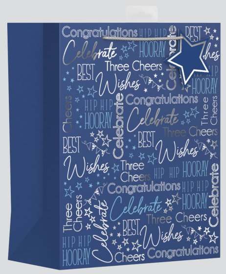 BOTTLE BAG BLUE TEXT