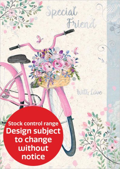 OTB17045B C50 STOCK CONTROL SPECIAL FRIEND TRAD