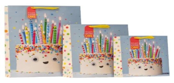 ** NEW FOR 2026 ** GIFT BAG CAKE CARNIVAL L