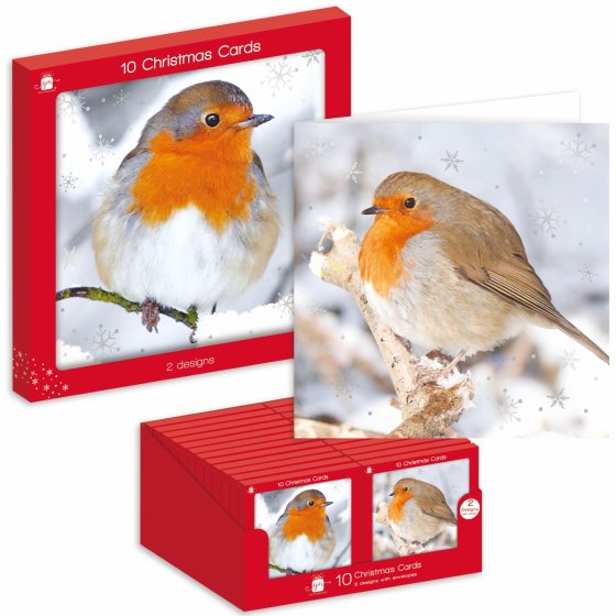 XH0604 CARDS SQ 10PK PHOTO ROBINS 2AS