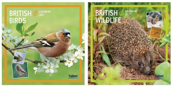 DJ1102 2027 CALENDAR SQUARE UK BIRDS WILDL