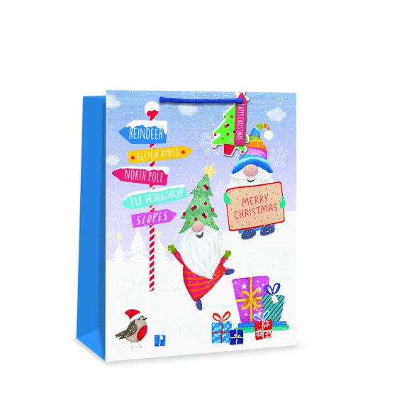 XH3023 GIFT BAG GONKS LRG