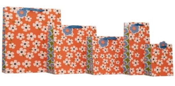 ** NEW FOR 2026 ** GIFT BAG BOLD FLORAL L